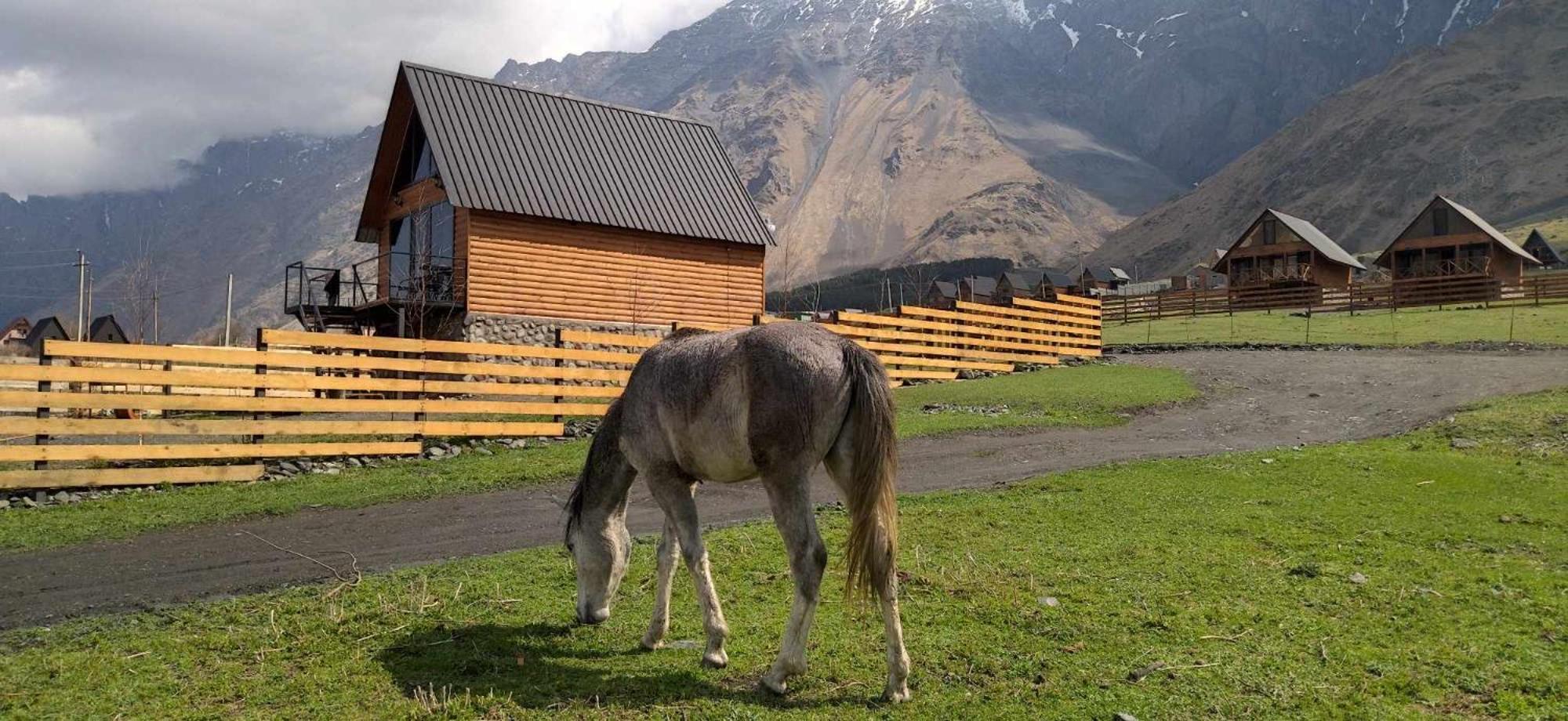 Traveler'S Cottages In Kazbegi Esterno foto